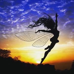 Meet your Posher, Delia